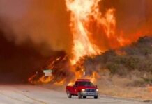 ¿DE QUÉ FORMA HA APOYADO LA INDUSTRIA DE LA MODA A LAS VÍCTIMAS DE LOS INCENDIOS DE LOS ÁNGELES?