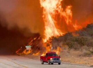 ¿DE QUÉ FORMA HA APOYADO LA INDUSTRIA DE LA MODA A LAS VÍCTIMAS DE LOS INCENDIOS DE LOS ÁNGELES?